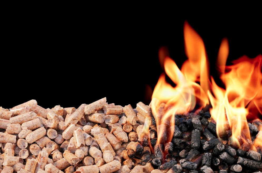 NI farmers cleared of wrongdoing after RHI audit