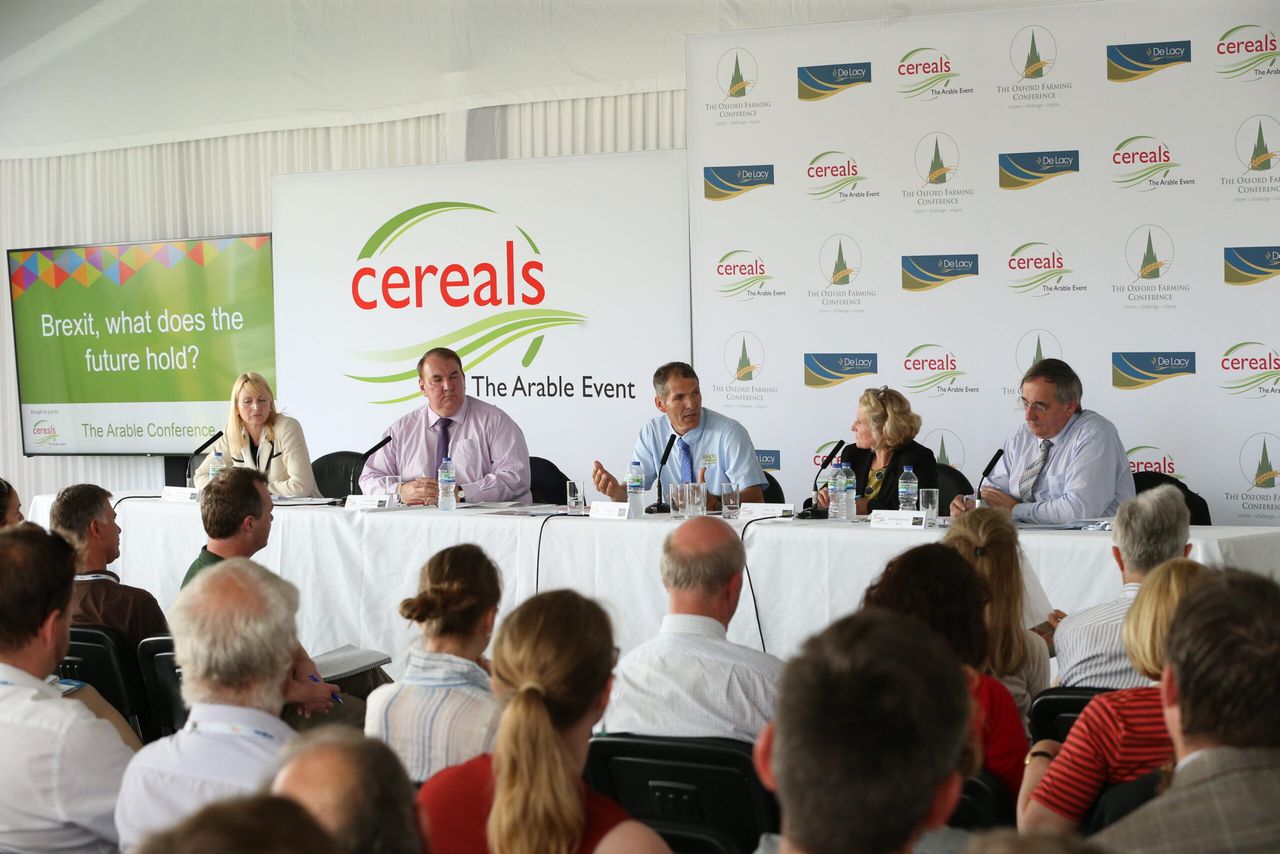 New grain marketing forum planned for Cereals 2020