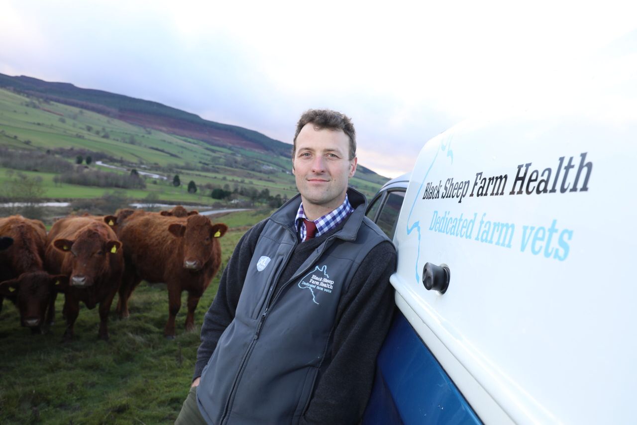 Bluetongue hotline launched for farmers and NFU