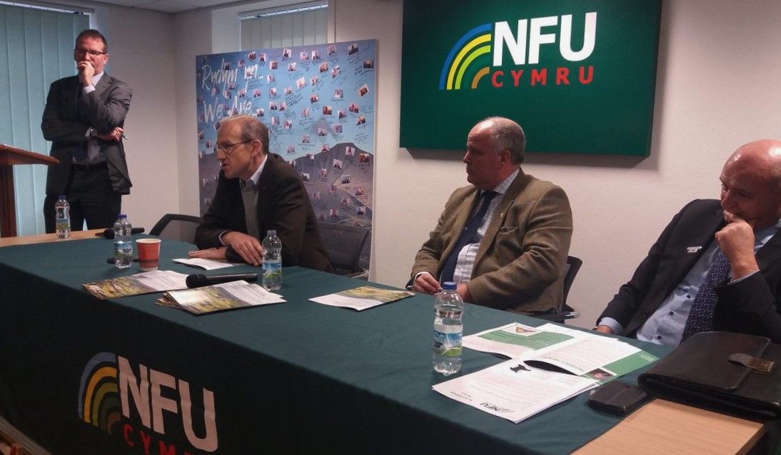 NFU Cymru warns of ‘nightmare’ no-deal Brexit