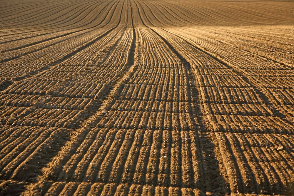 Farmer attitudes on soil fertility and analysis