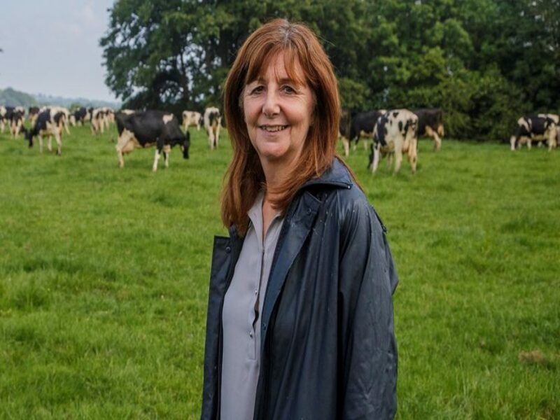 First ever Welsh Agriculture Bill is a 'landmark moment'