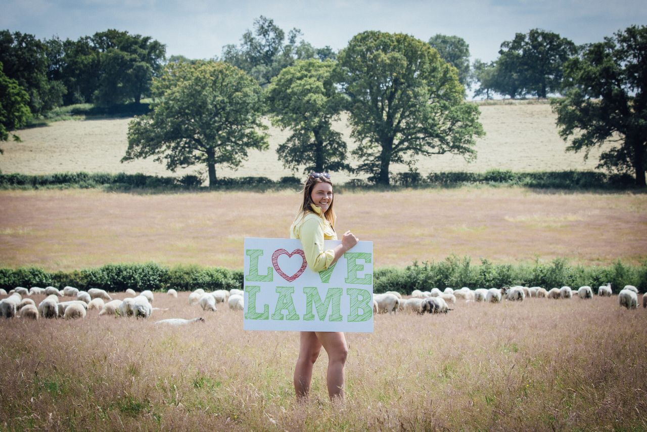 Love Lamb Week gains backing from £1.4 million campaign