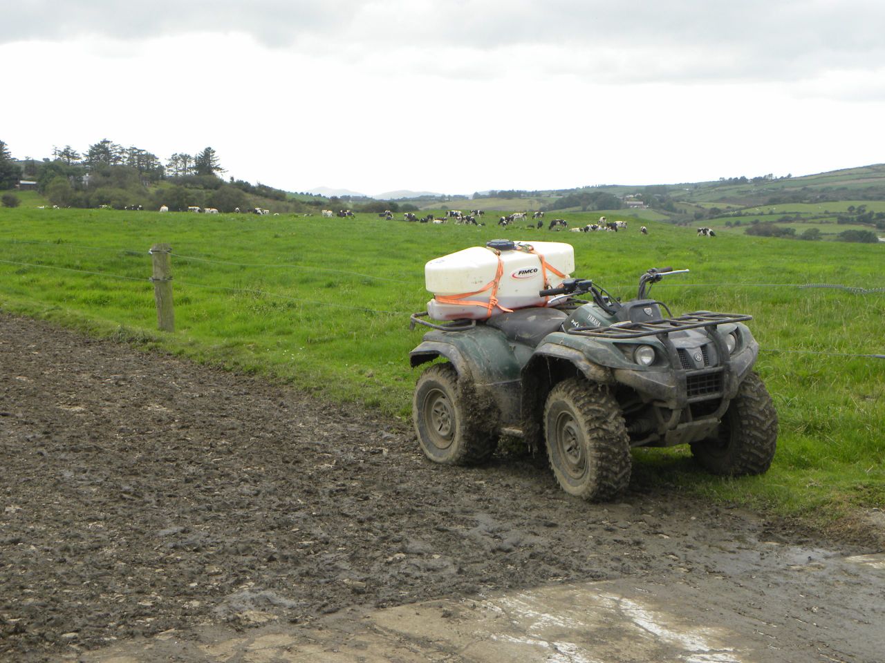 Poll: Dairy farmers: What's your cost of production?