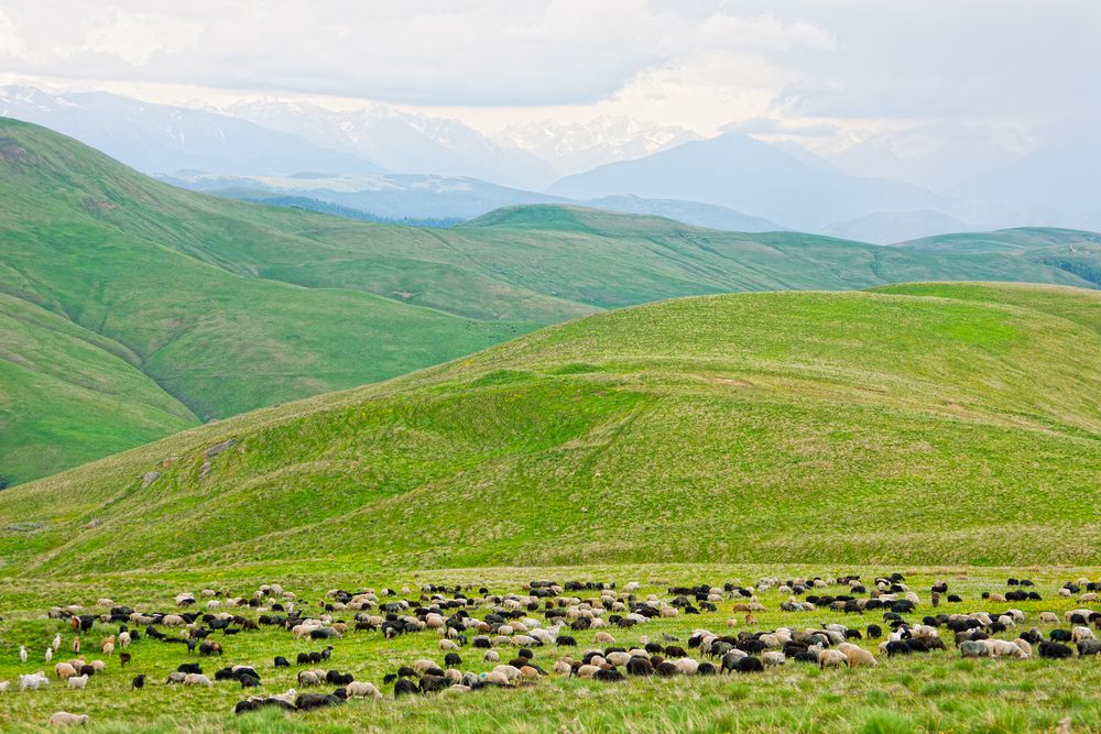 Farm management tips for September