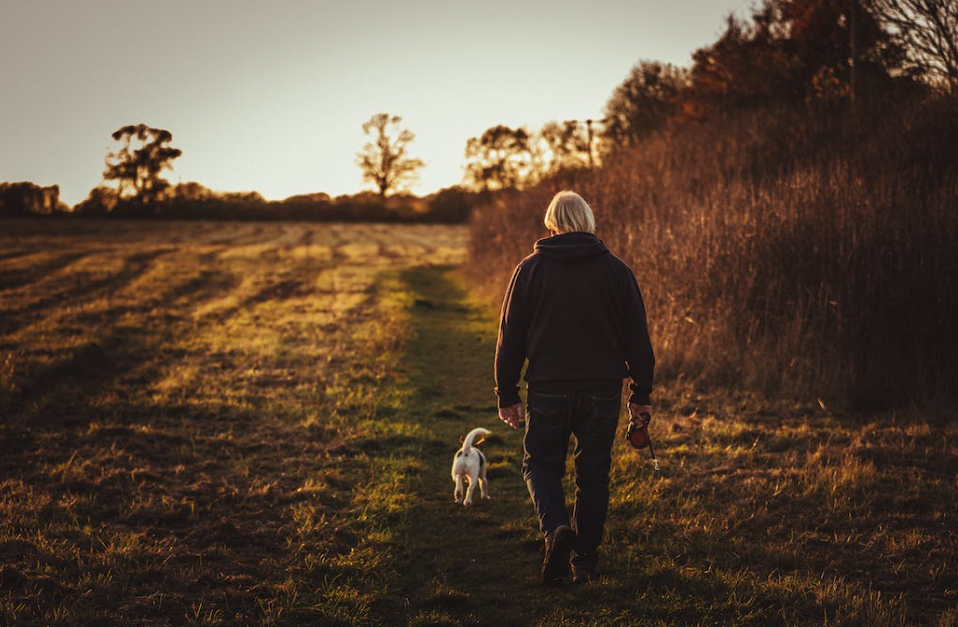 Farmers more likely to seek financial advice around pensions