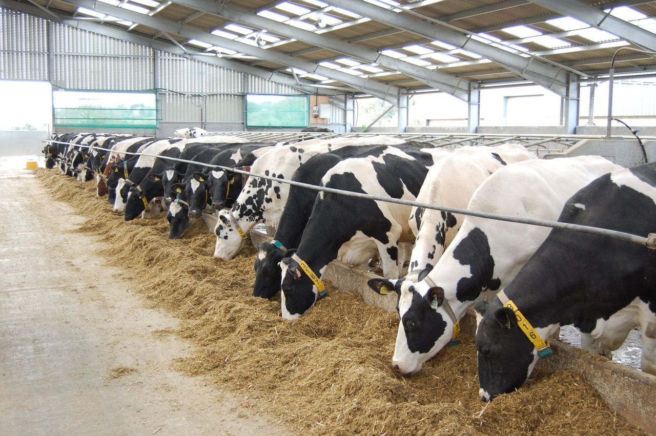 ‘Northern dairy farmers should not have to cut production’