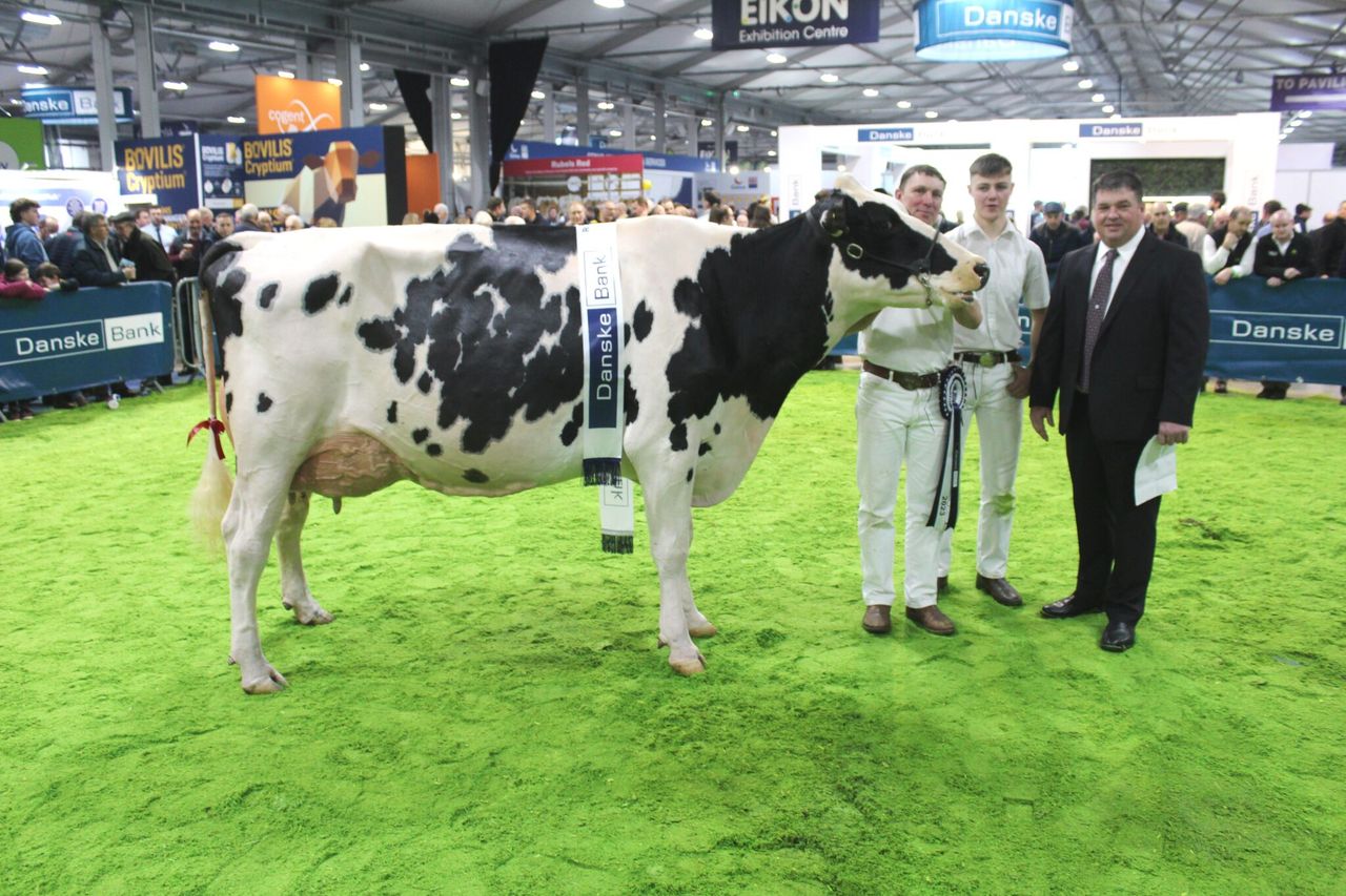 RUAS launches All Ireland ‘On-Farm Winter Fair Challenge’
