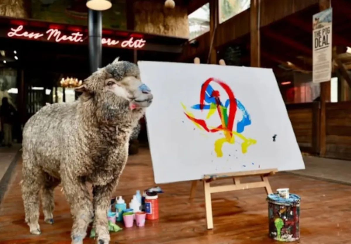 Sheep painting prodigy ‘Baanksy’ reportedly kidnapped