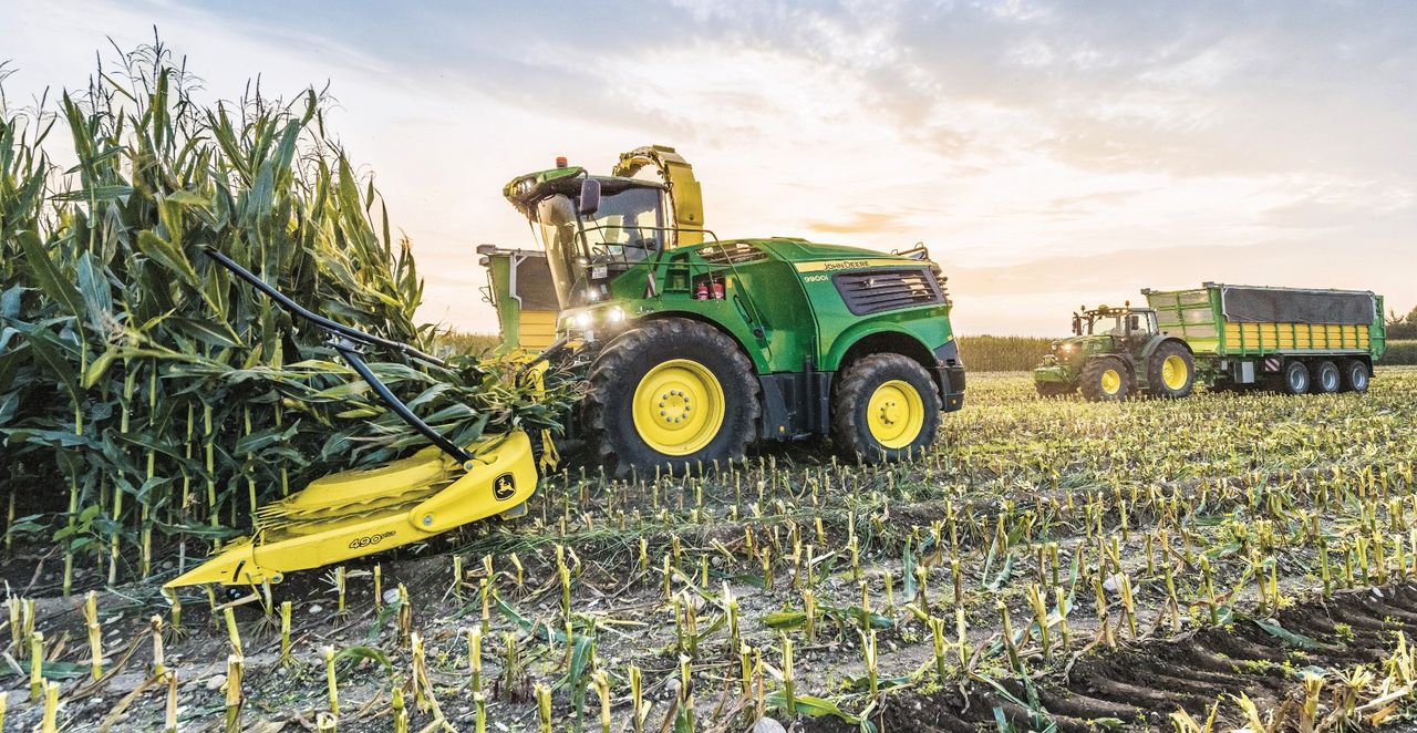 Forage maize crops to be harvested in Antrim by month’s end