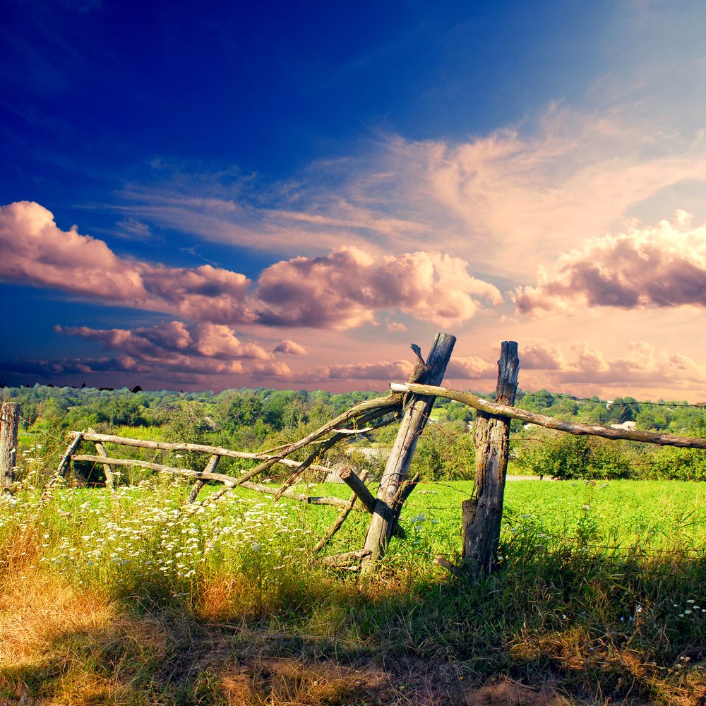 Calls for a move away from intensive farming model
