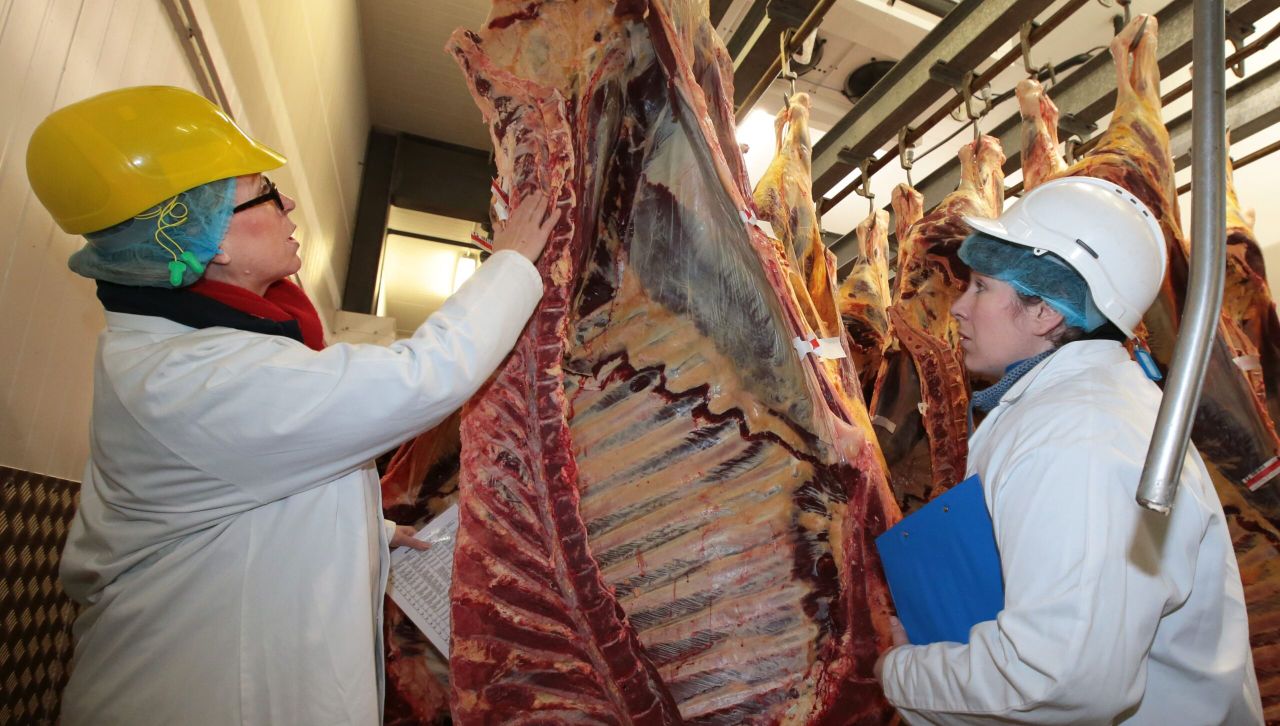 Welsh beef industry uses international techniques to train quality graders