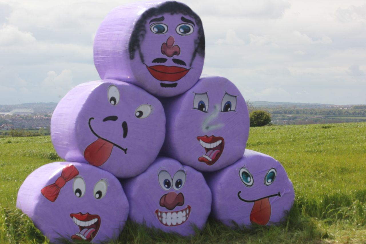 Unique purple bales raise £45,000 for children's charity