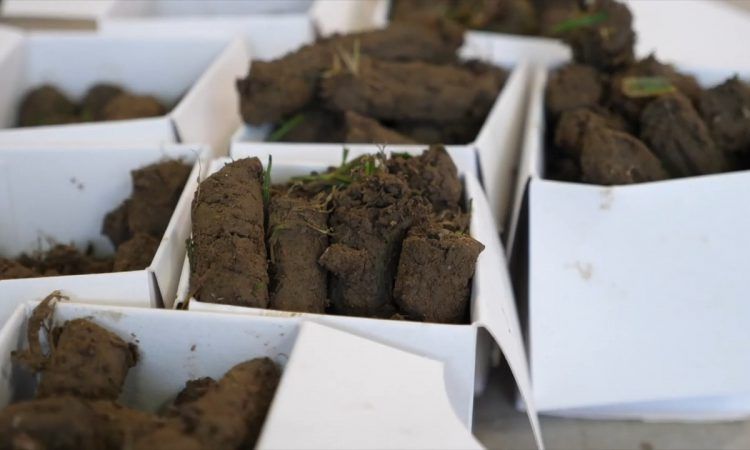 Expansive soil benchmarking project to be rolled out across NI