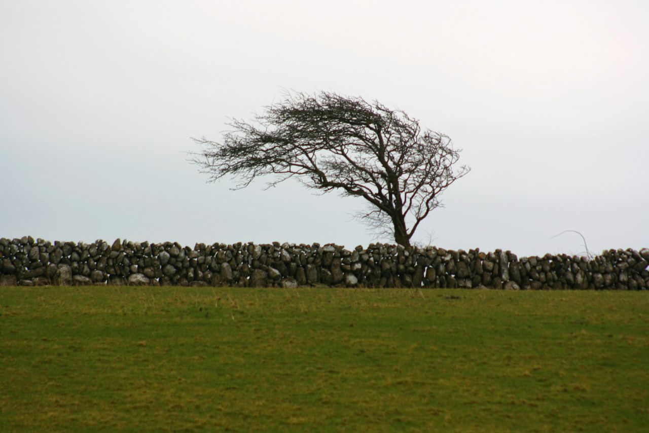 Farmers urged to not take 'unnecessary risks' during Storm Lilian