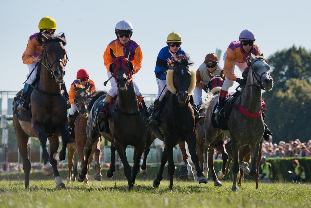 Horse-breeding mask company onto a winner