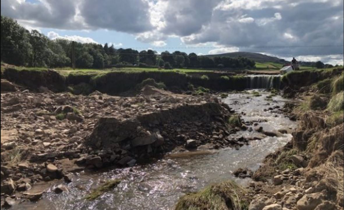 Pioneering North East project uses nature to reduce flood risk