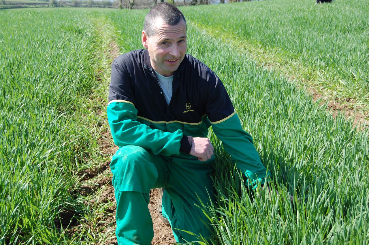 Broadleaf weeds remain a challenge on Co. Derry tillage farm