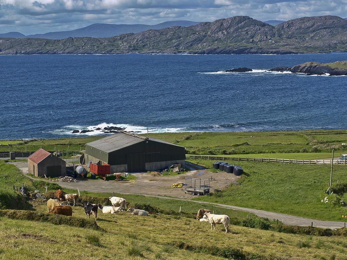 Key EU decision on agricultural emissions expected this month