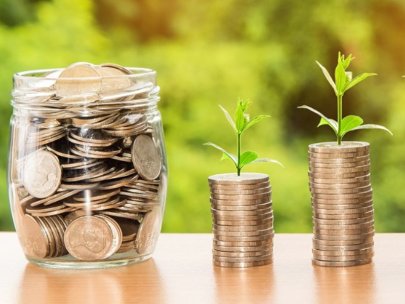 Open letter calls for basic income for agricultural workers