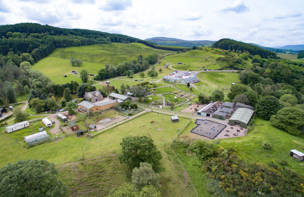 ‘Dream big’: Wildlife park on 131ac with ‘year-round trade’ for sale…in Scotland