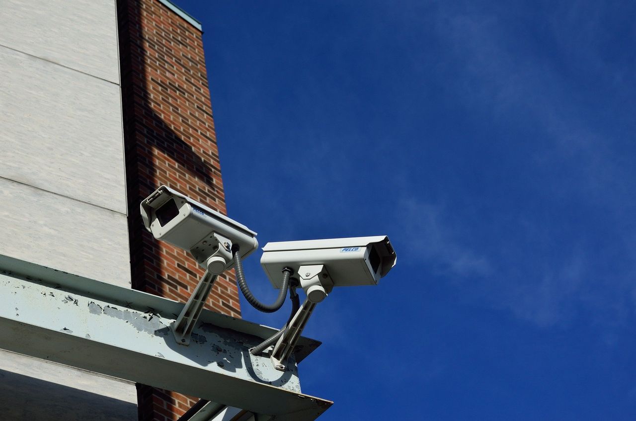BVA welcomes legislation for compulsory CCTV use in abattoirs