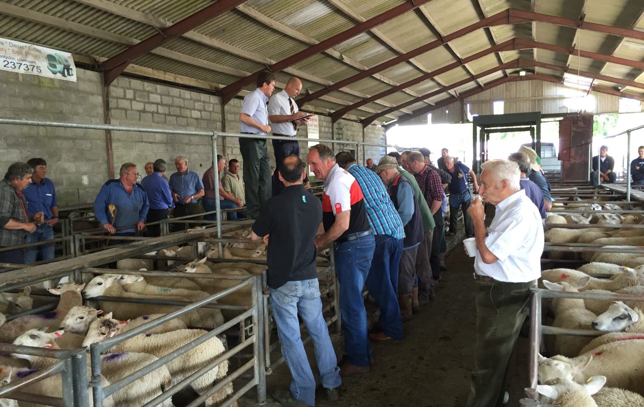 Glamorgan farmers 'left in the dark' over local mart