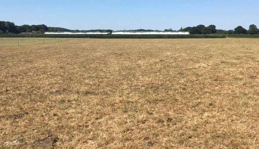 Brussels to offer 'flexibility' to farmers dealing with droughts