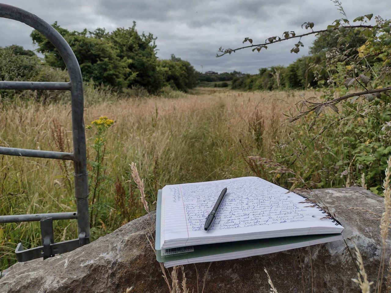 2026 ‘Best in Rural Writing’ contest opens for submissions