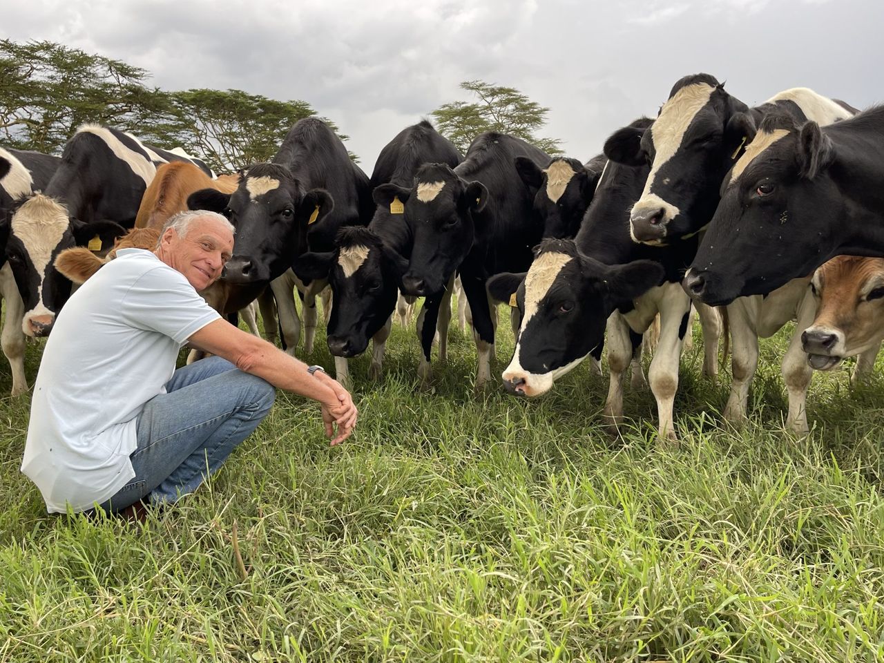 Dairy Focus: Kenyan farmer cares more about genetics than milk yield