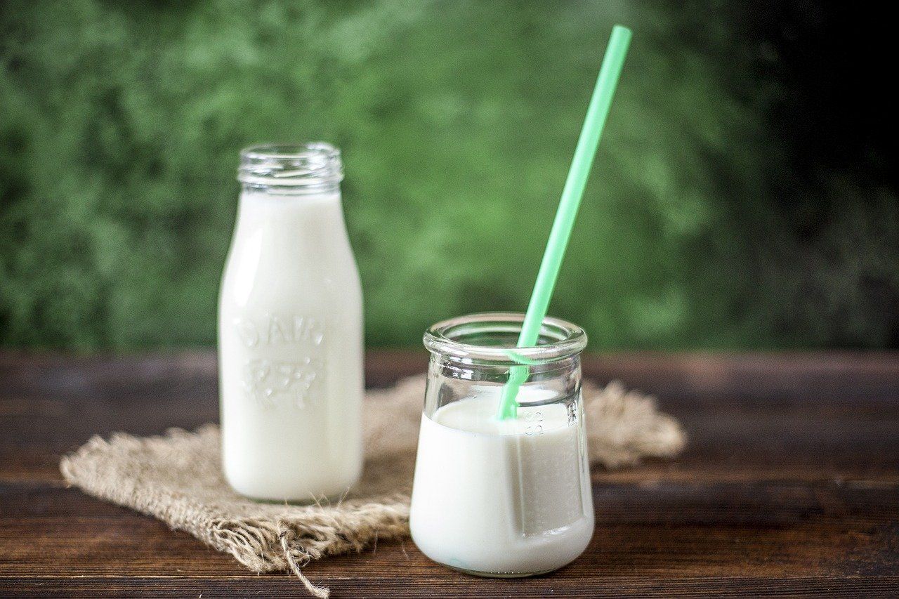 Nestlé to develop its first animal-free dairy products