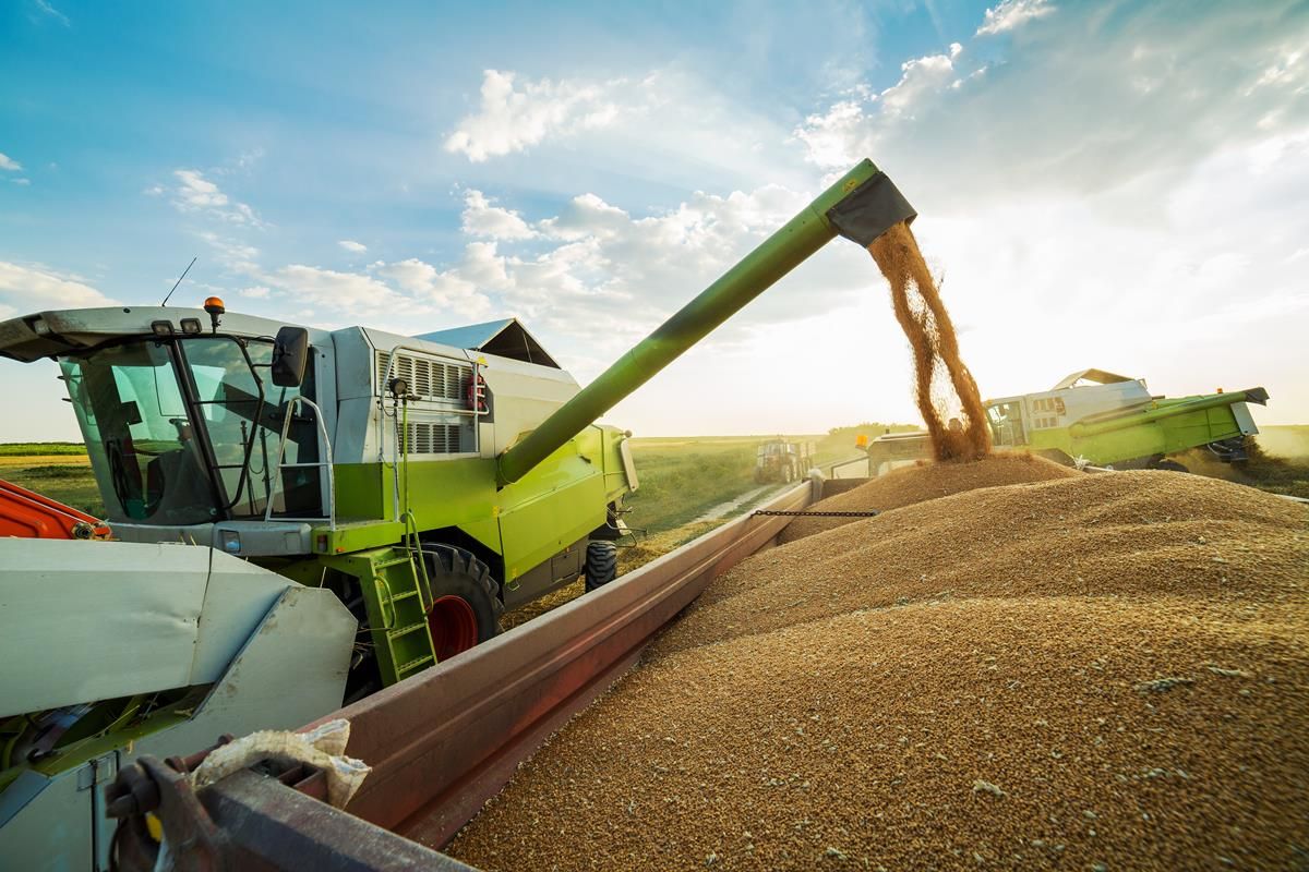 Date for the diary: CAFRE arable conference to focus on soils