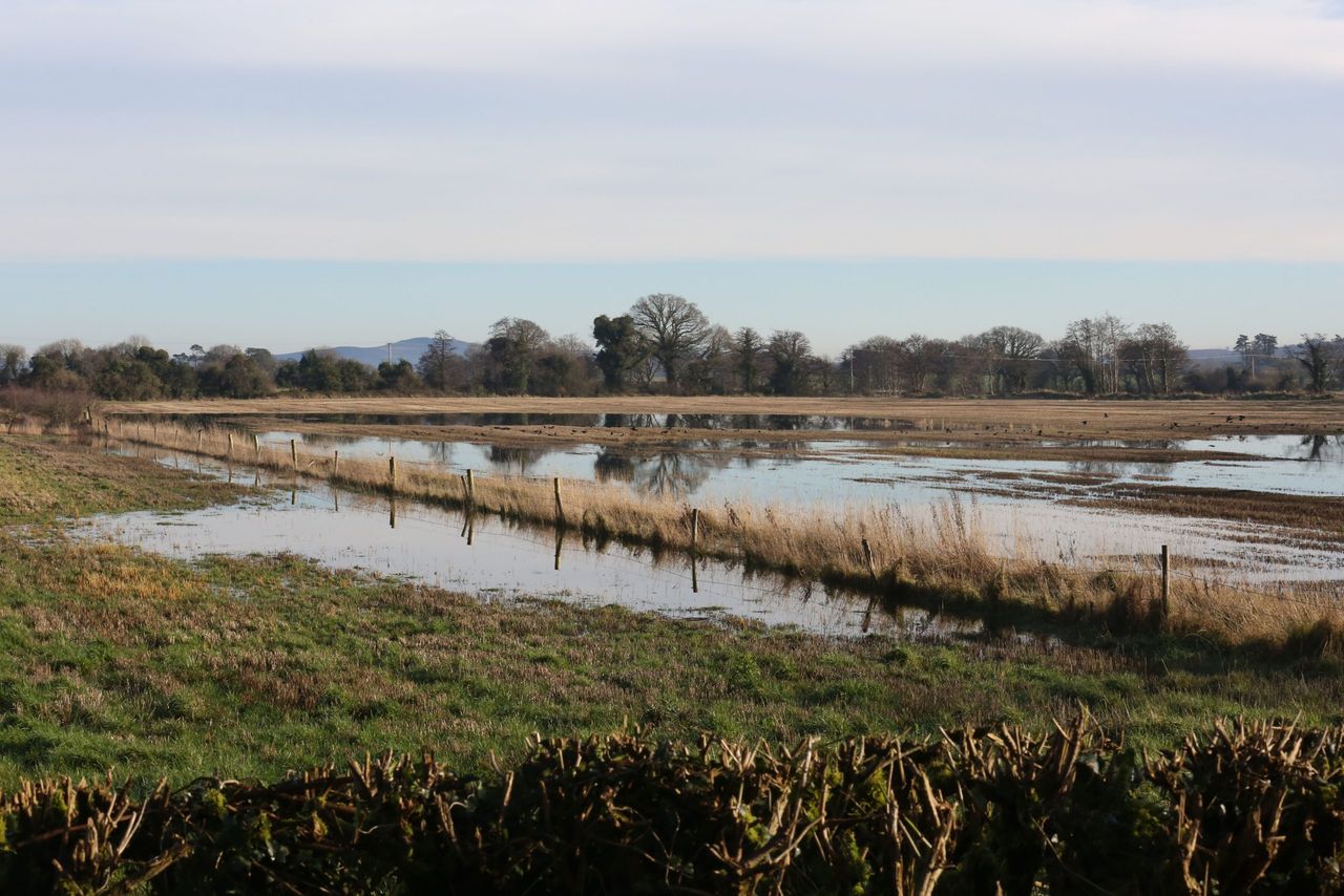 Farmers in the North hit by flooding to benefit from £1,000 relief