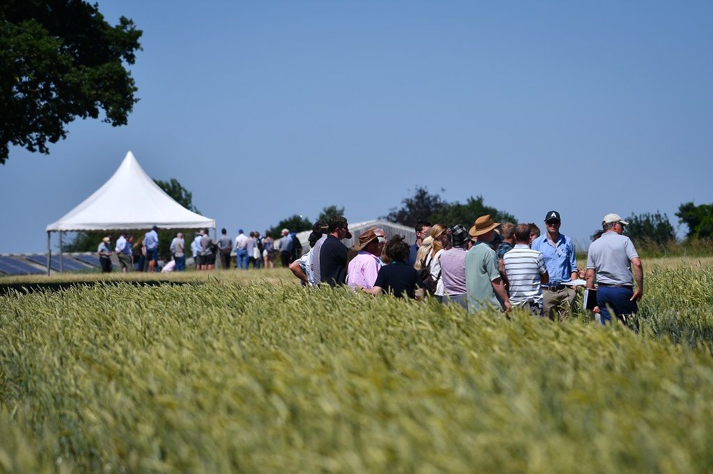 Business opportunities to top agenda at UK's largest organic farm event