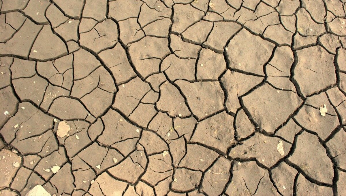 UK heatwave: June one of the driest on record for much of the UK