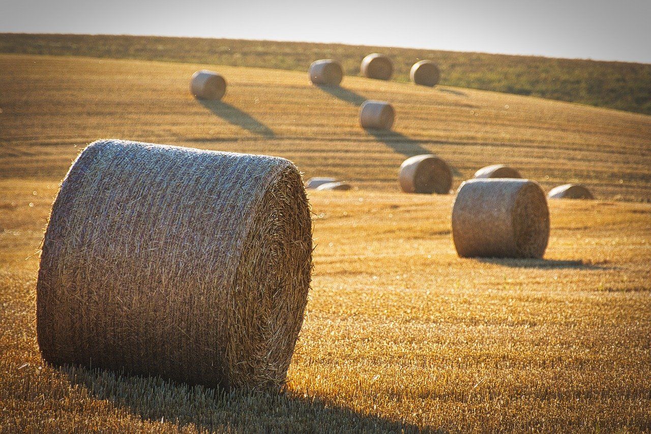 Large baling contractors at risk of HMRC fines due to plastic packaging tax