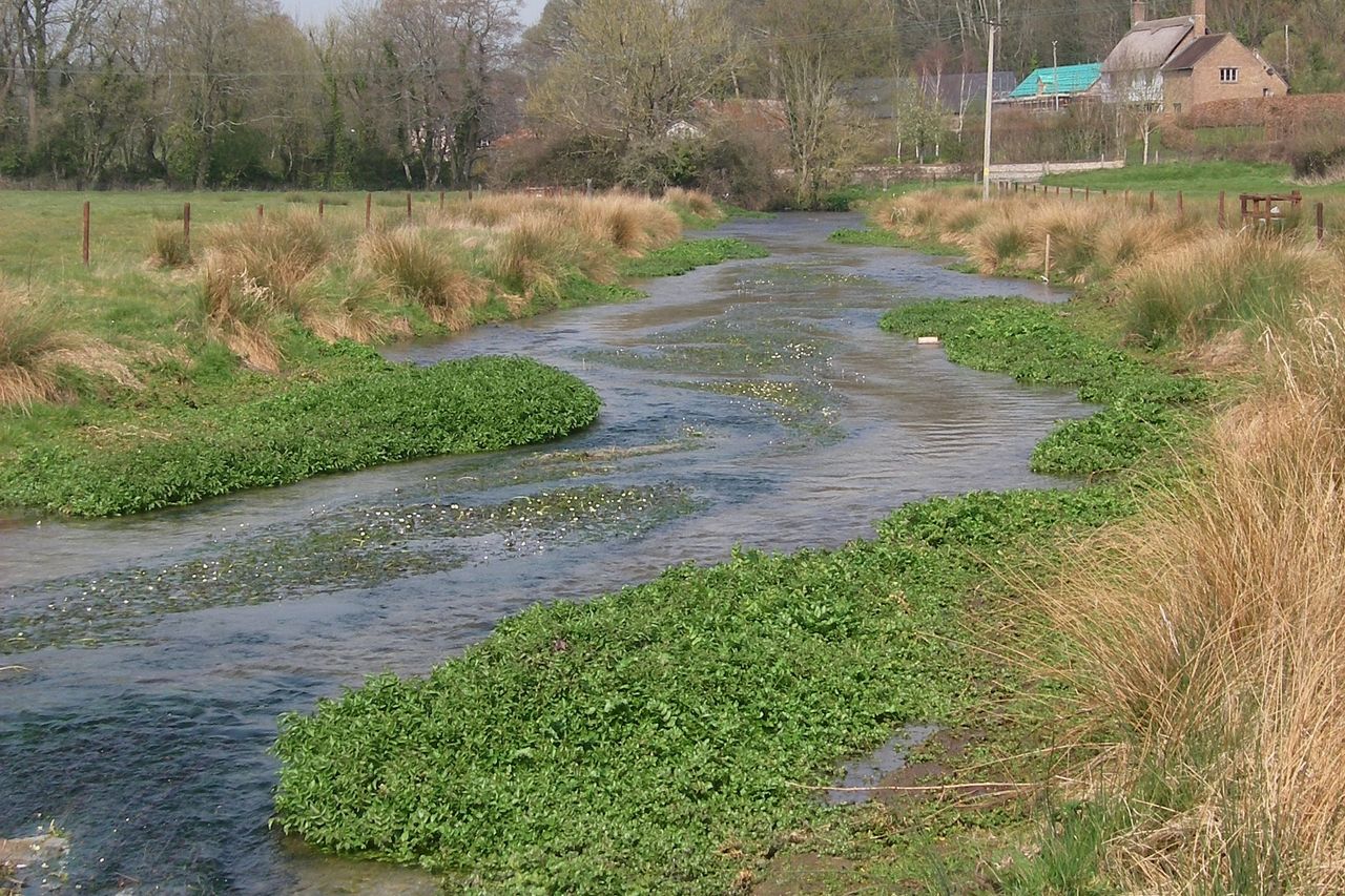 Dorset chalk stream benefits from EA funding