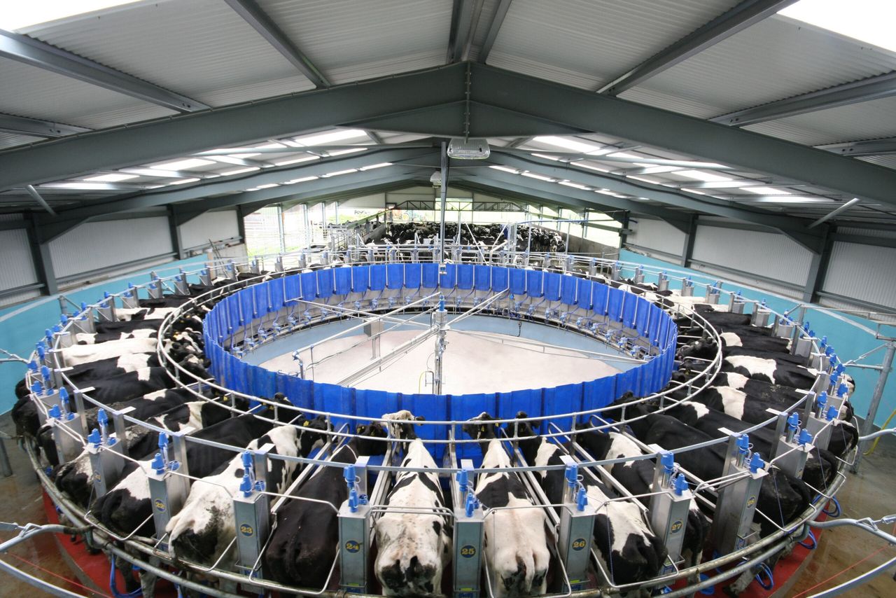 GDT hits 5 increases on the bounce in latest auction