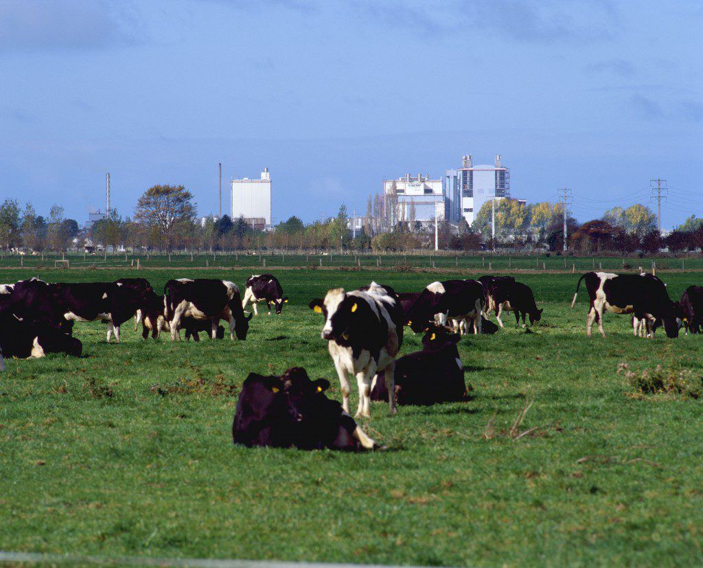 Fonterra aims for 30% on-farm emissions cut by 2030