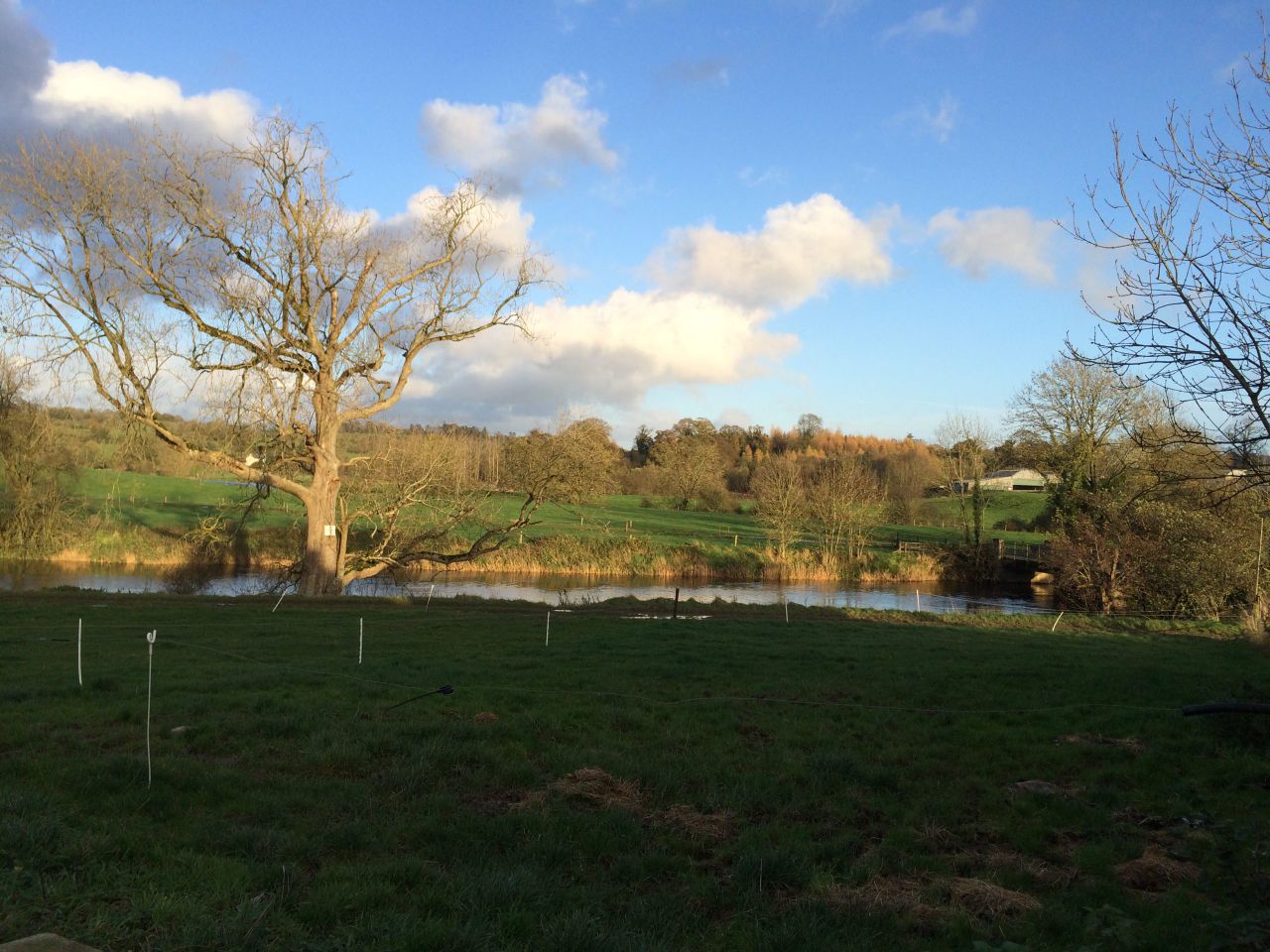 Northern Irish farmer fined for allowing silage effluent to enter waterway