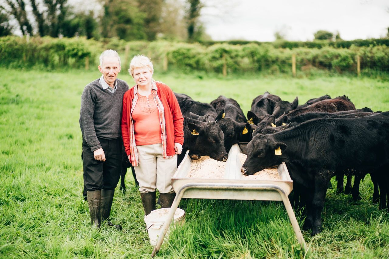 M&S award recognises best of Northern Irish agriculture