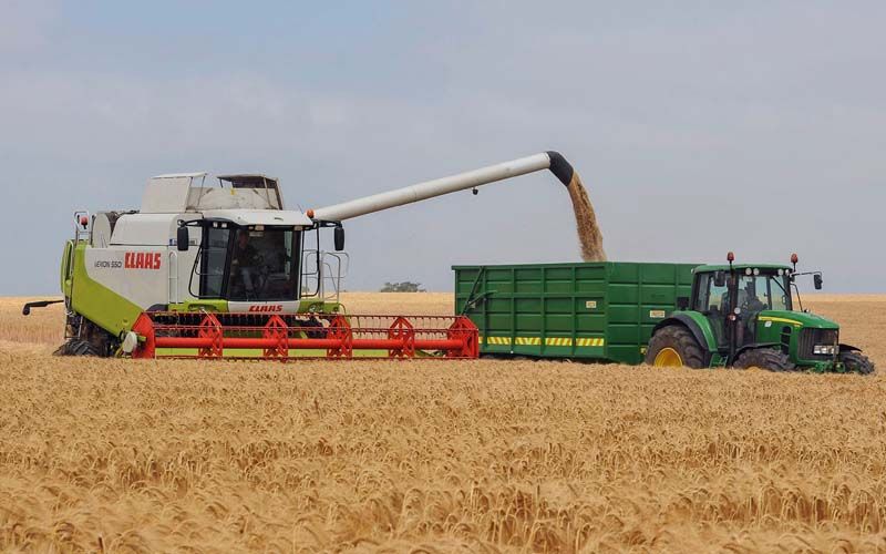 Barley going for gold as first harvest yield a hit