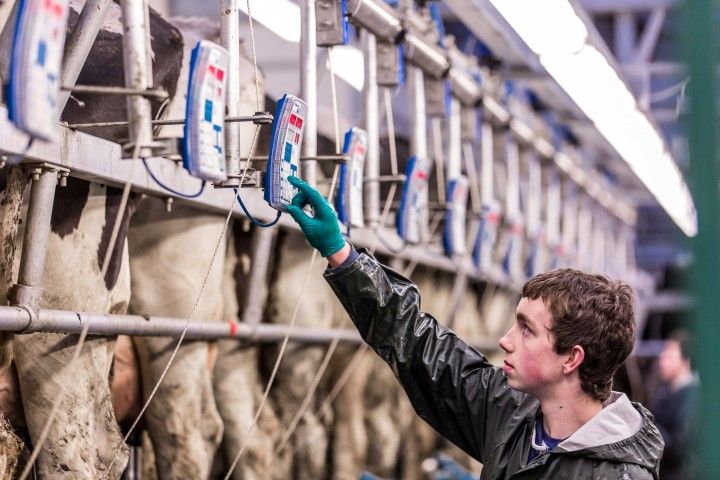 Measuring May performance on dairy farms