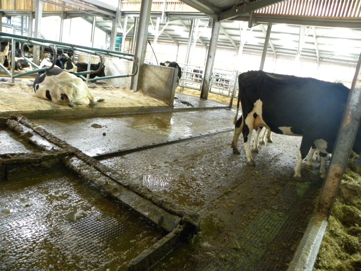 Poots to call for bigger budget for NI’s Farm Business Investment Scheme