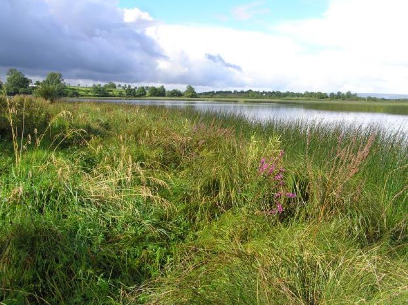 Agriculture the ‘principal cause’ of pollution in Lough Erne