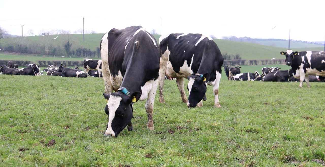 Grass growth fortunes turning as temperatures start to rise
