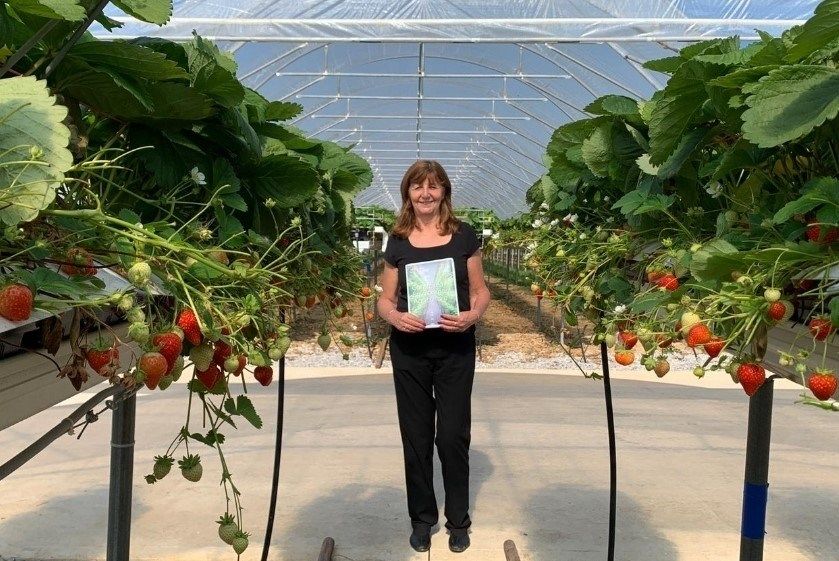 New vision to help increase innovative food growing in Wales