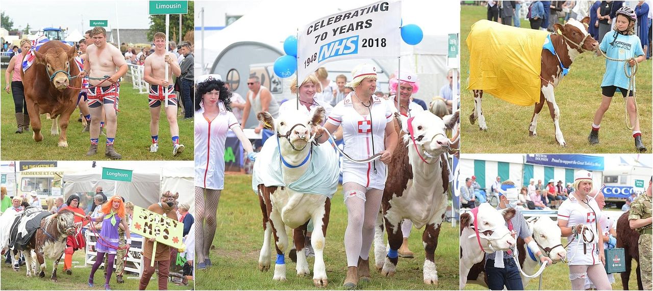 2018 Great Yorkshire Show branded 'one of the best ever'