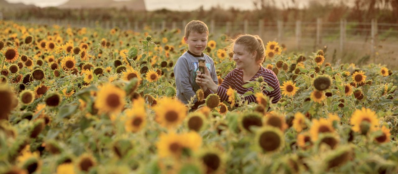 Are old fashioned farming methods the key for a sustainable future?