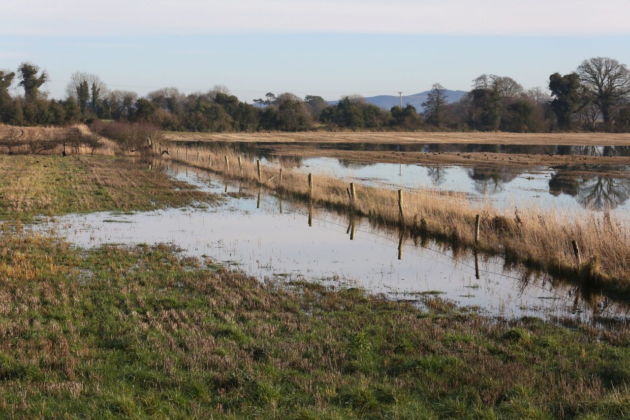 'Flood risk group not meeting in 4 years a total insult to people affected'